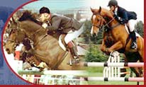 British Show Jumping Association Area 15a